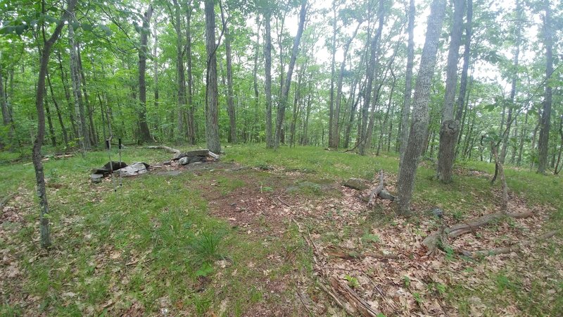 This is the shady summit of Gardiner Mountain.