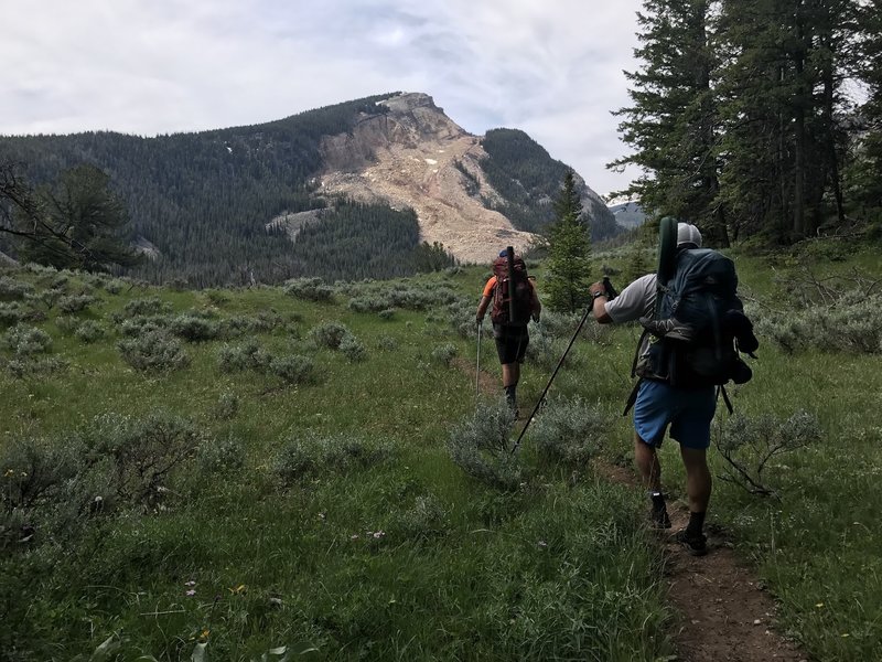 Looking south toward the Crystal Creek landslide.