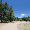 Buffalo Park Loop Trail is a wide foot path.