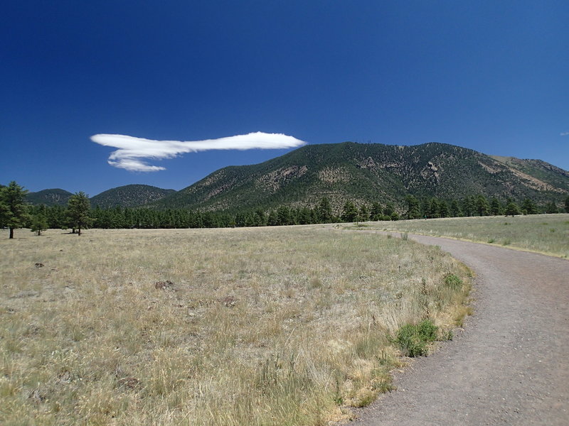 The Buffalo Park Loop Trail is a wide foot path offering gorgeous views.