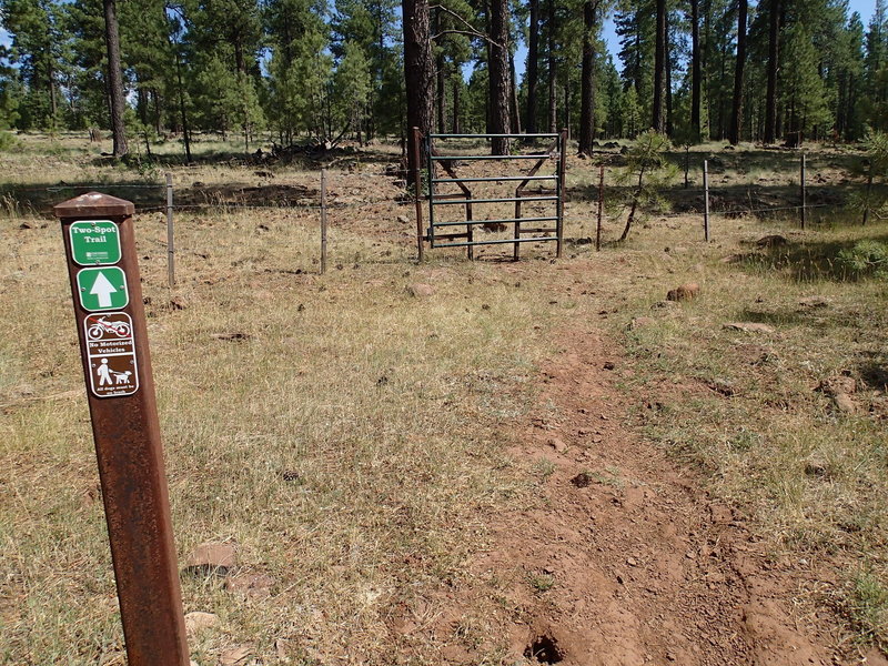 Pass through this cattle gate to remain on the Two-Spot Trail.