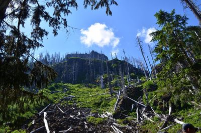 Enjoy gorgeous views along the Northern Loop.