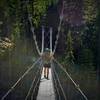 Carbon River Suspension Bridge – Wonderland Trail to Carbon Camp (from the north) is closed due to a trail washout (July 2017).