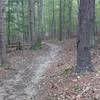 Tulip Poplar Trail traverses beautiful hardwood forests under a blanket of fallen leaves.