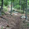 From here on out, the Massanutten Trail starts to get a little less rocky.