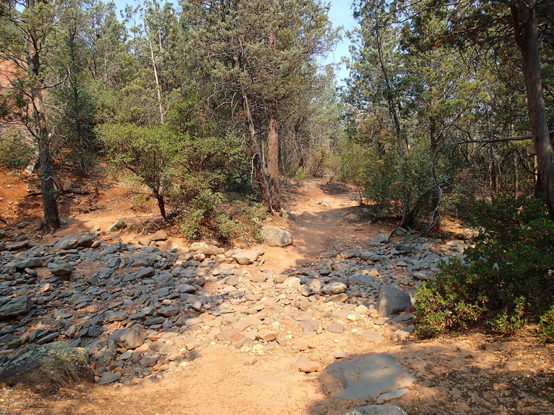 The trail crosses a dry creek bed several times.