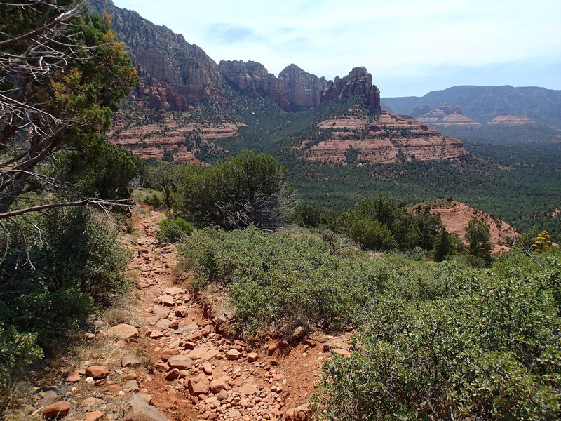 It will be hard to keep your eyes on the trail with views this good on the descent from Brins Mesa to Sedona.