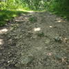 The Scuppernong Trail can be rocky in sections.