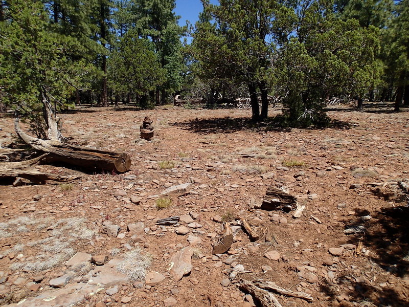 Occasional cairns can be found along the trail, but do not rely on them for navigation.