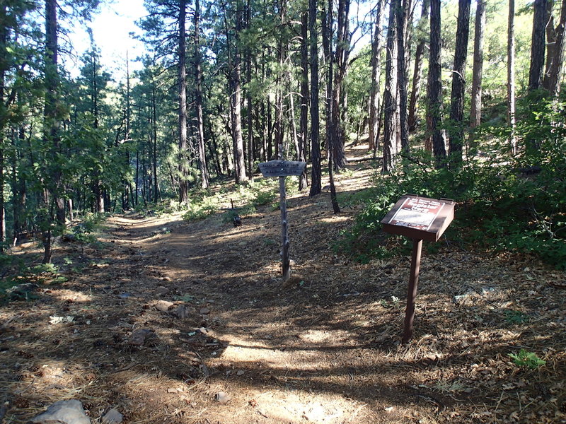 This is the Kelsey Spring Trailhead.
