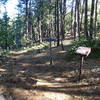 This is the Kelsey Spring Trailhead.