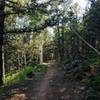 The St. Mary Falls Trail follows gentle terrain along a ridgeline.