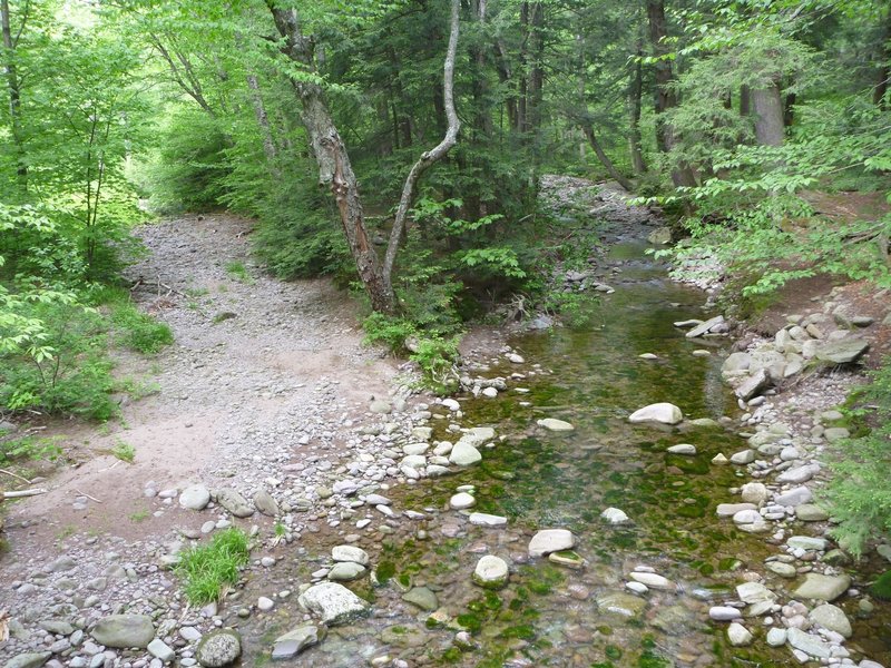 Looking upstream near the creek crossing.