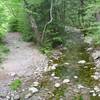 Looking upstream near the creek crossing.