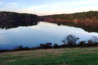 View of Shelley Lake.