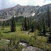 Crossing Gold Creek along the trail.