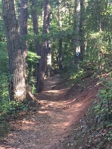 "Flat Tail Trail" just after "Woodie Walk"