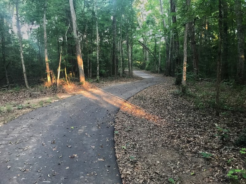 Charles Lollis Memorial Trail.