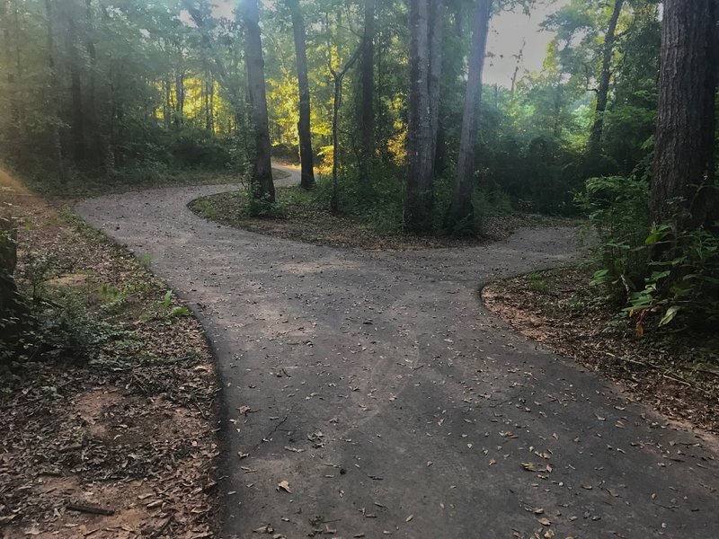 Charles Lollis Memorial Trail.