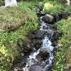 One of the beautiful small streams in the area (early July).