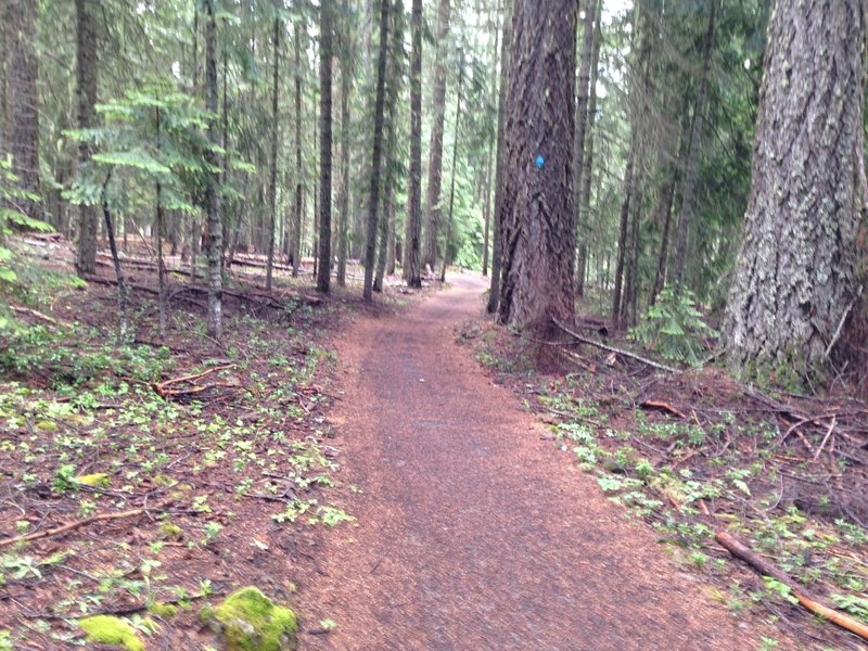 High Lakes Trail one mile from Fish Lake Resort.