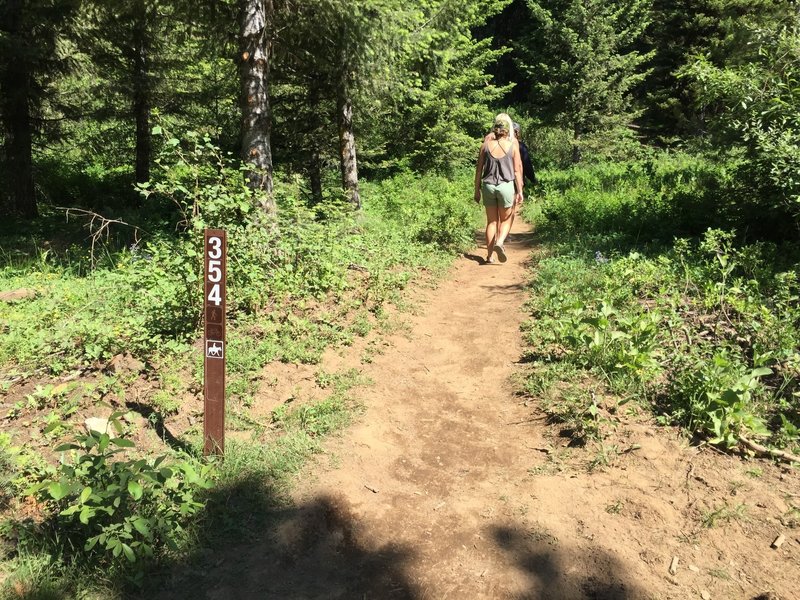 Start of Goose Creek Falls Trail.