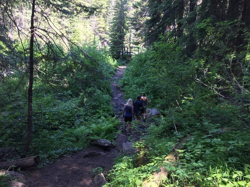 Descent to river bridge.