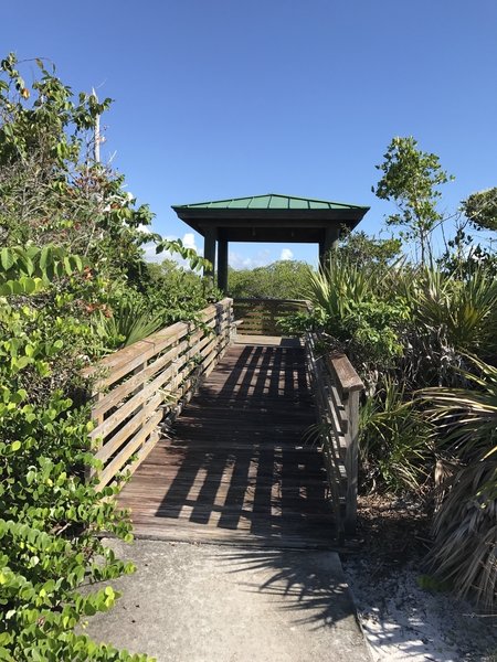 Viewing deck at the end of Paw Paw trail.