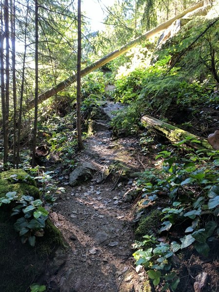 North Butte Trail, near the top.