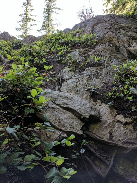 Last small scramble up to top of North Butte Trail.