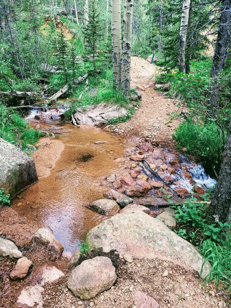 The fourth creek crossing is a bit wider and deeper. Careful footing along the bottom to avoid slipping is necessary.