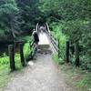 Return trip, over the bridge and Left onto Mattatuck Trail