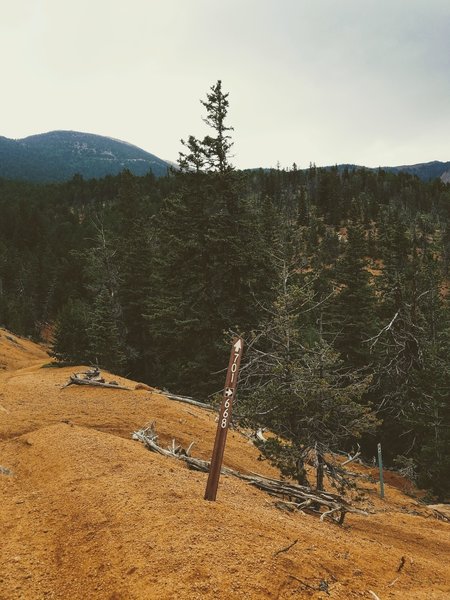 Intersection of Foresters Trail (#701) and Pipeline Trail (#668).