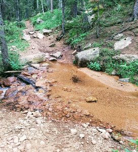 Pipeline Trail (#668) has a total of seven creek crossings.