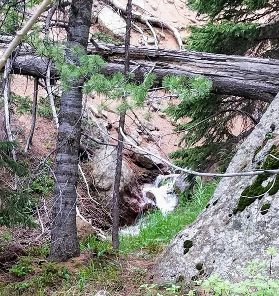 Loads of water throughout Pipeline Trail (#668) with cascading falls, rushing creeks, and seeps.