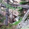 Loads of water throughout Pipeline Trail (#668) with cascading falls, rushing creeks, and seeps.