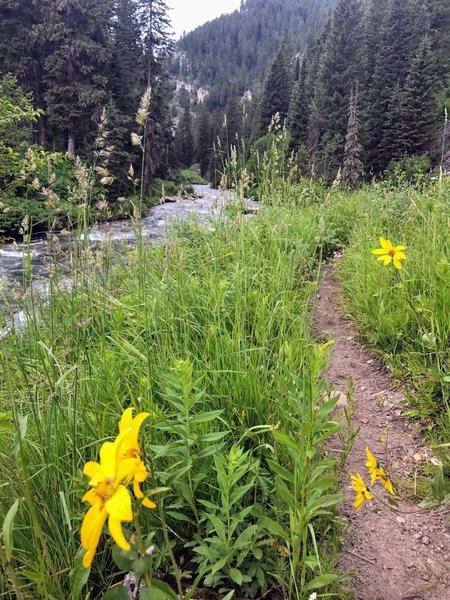 Typical terrain and scenery for the trail