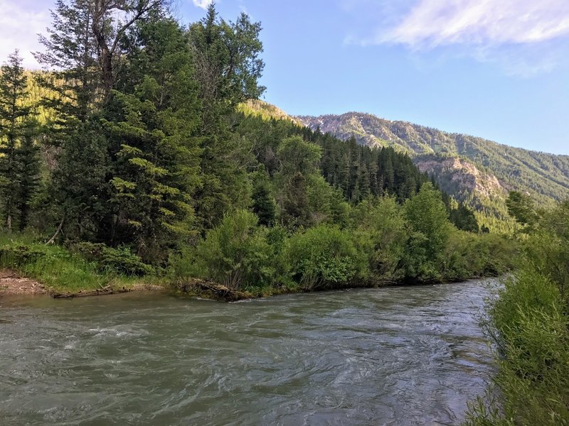 Dry Canyon Trail creek crossing