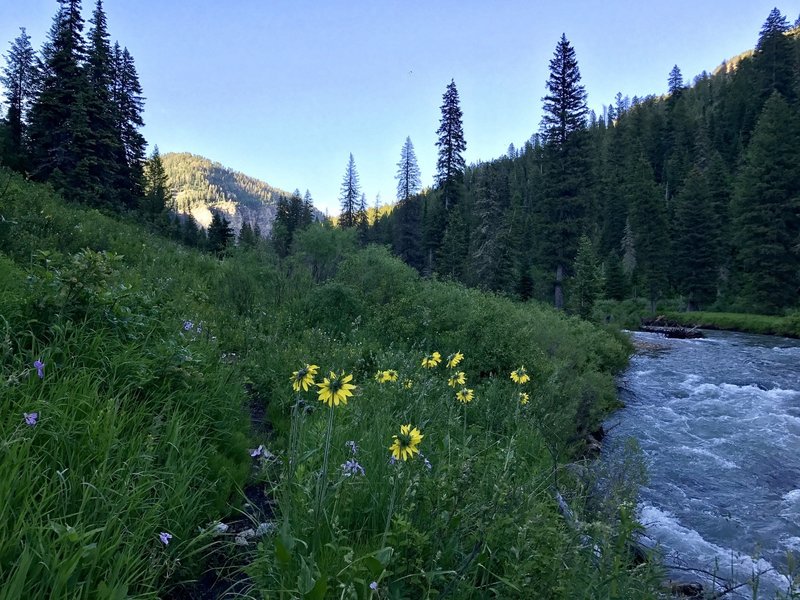 Dawn or dusk, mid day or night... there is no wrong time to run this trail!