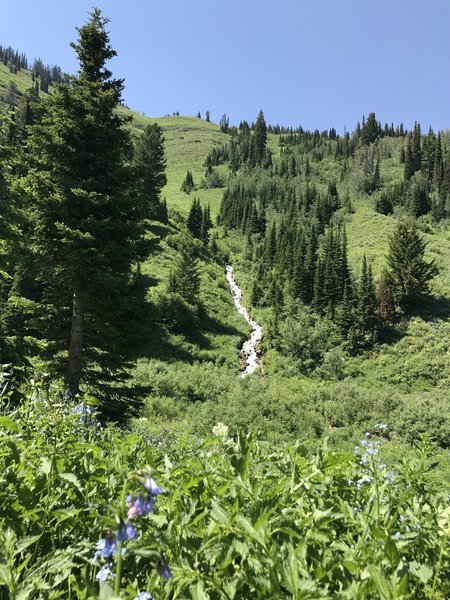 Snow melt in July on the west canyon wall.