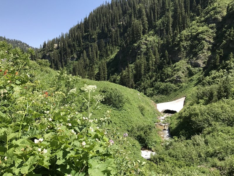 Deep snow pockets in the early summer. The trail is mostly clear of snow however.