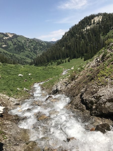 Snow melt coming out of the mini arch and waterfall just off of the trail.