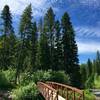 The metal bridge and major turn to the Upper Lake. Don't miss it!