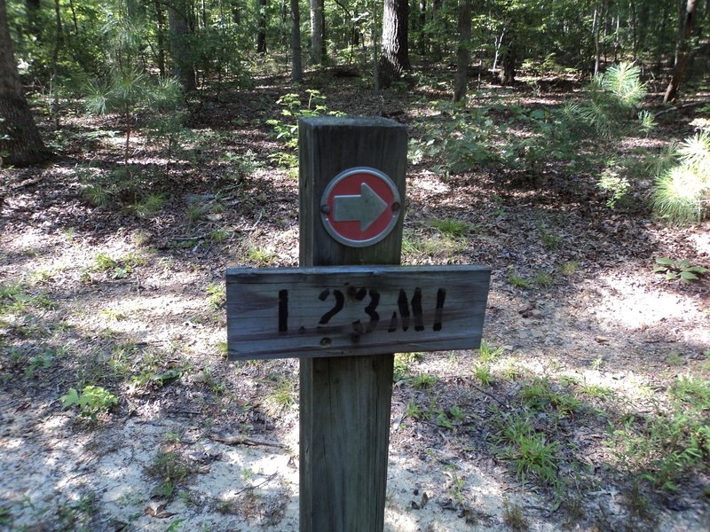 There are several braided trails going hither and thither behind the Nature Center...just follow THIS sign.