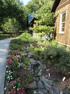 But before we go, a quick stop at the Nature Center for a quick look at its wonderful garden!