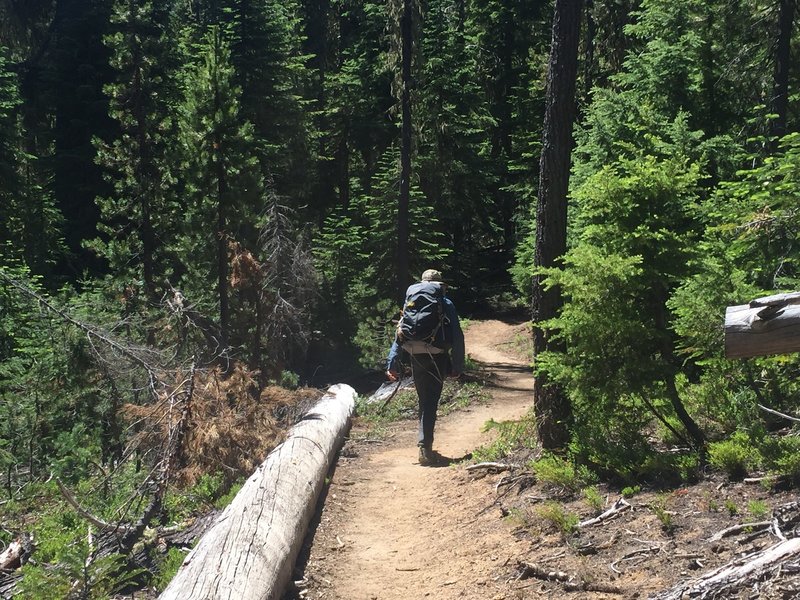 Hiking south on the PCT.