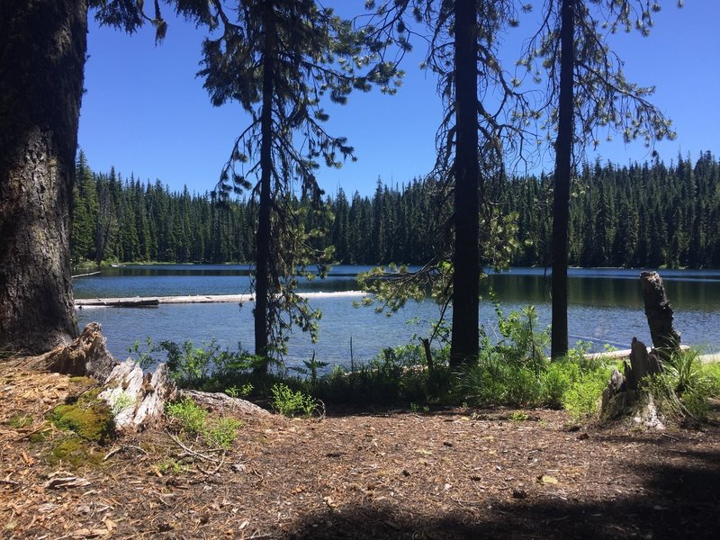 Midnight Lake from Campsite.