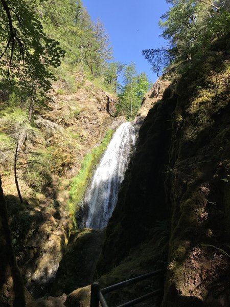 Susan Creek Falls.