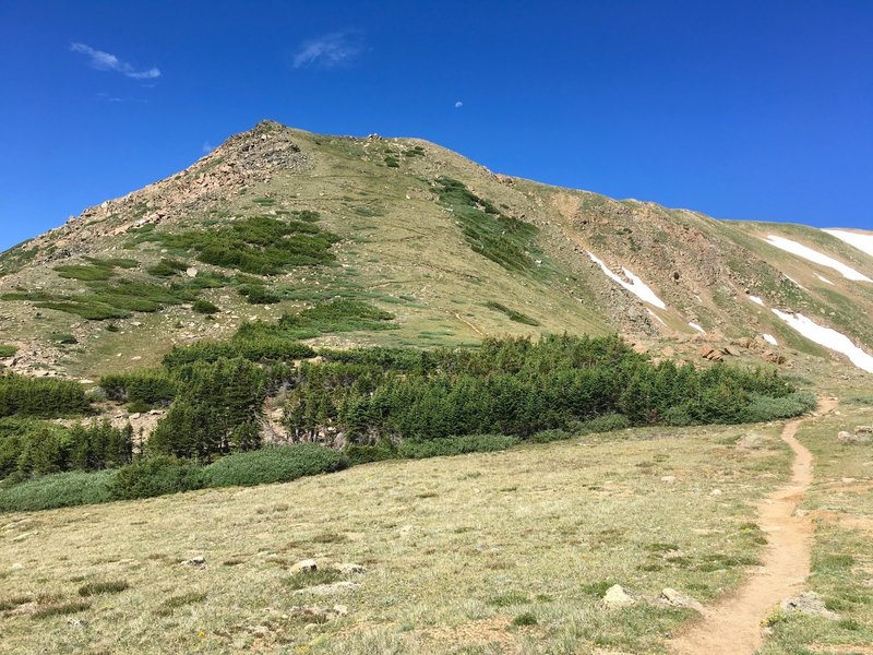 The switchbacks 1.5 miles in.