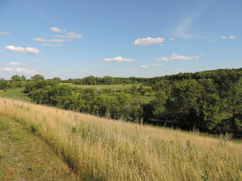 Marshes on the Eco Loop Trail.